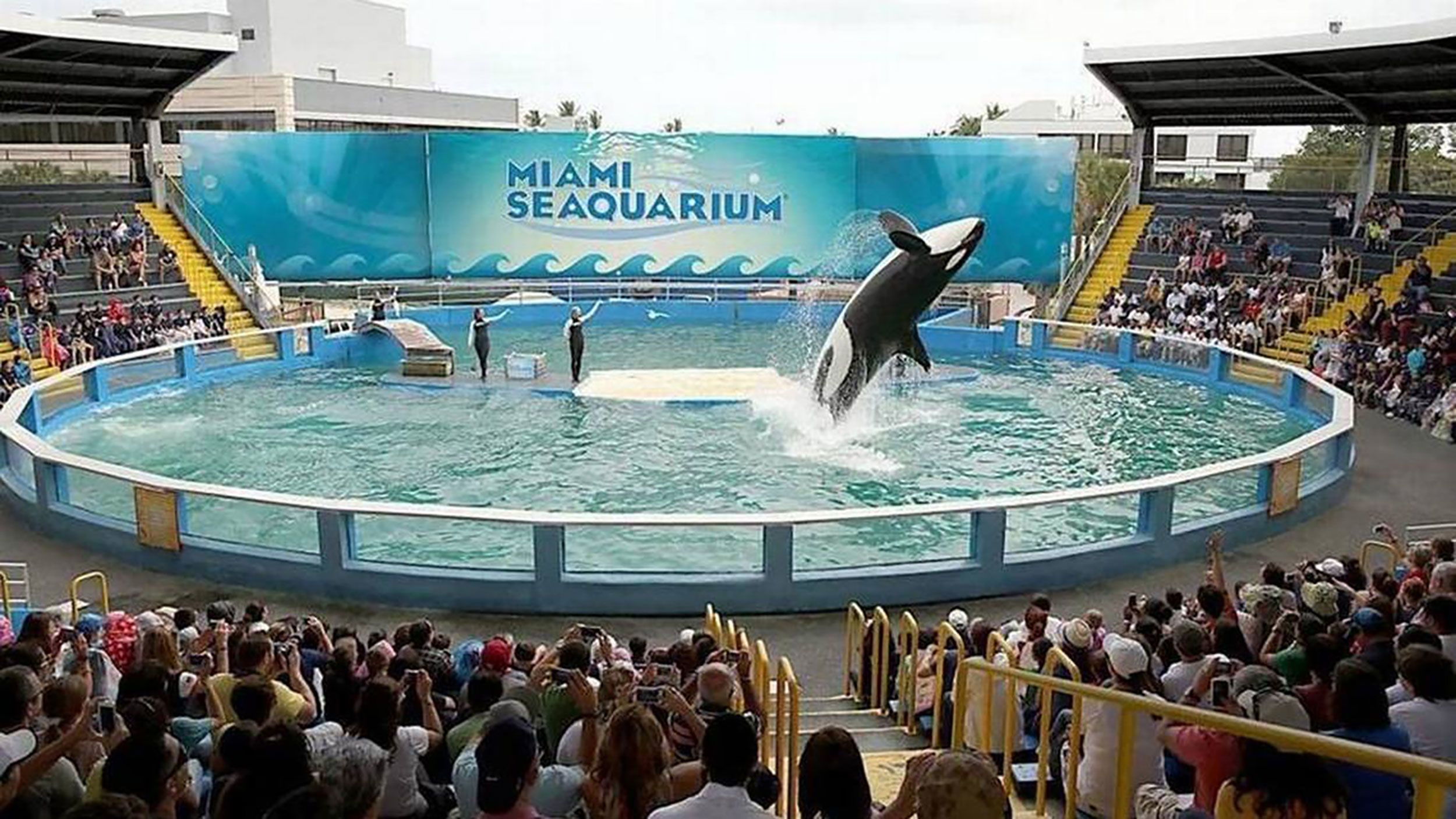 Miami Seaquarium se zatvara nakon 70 godina rada