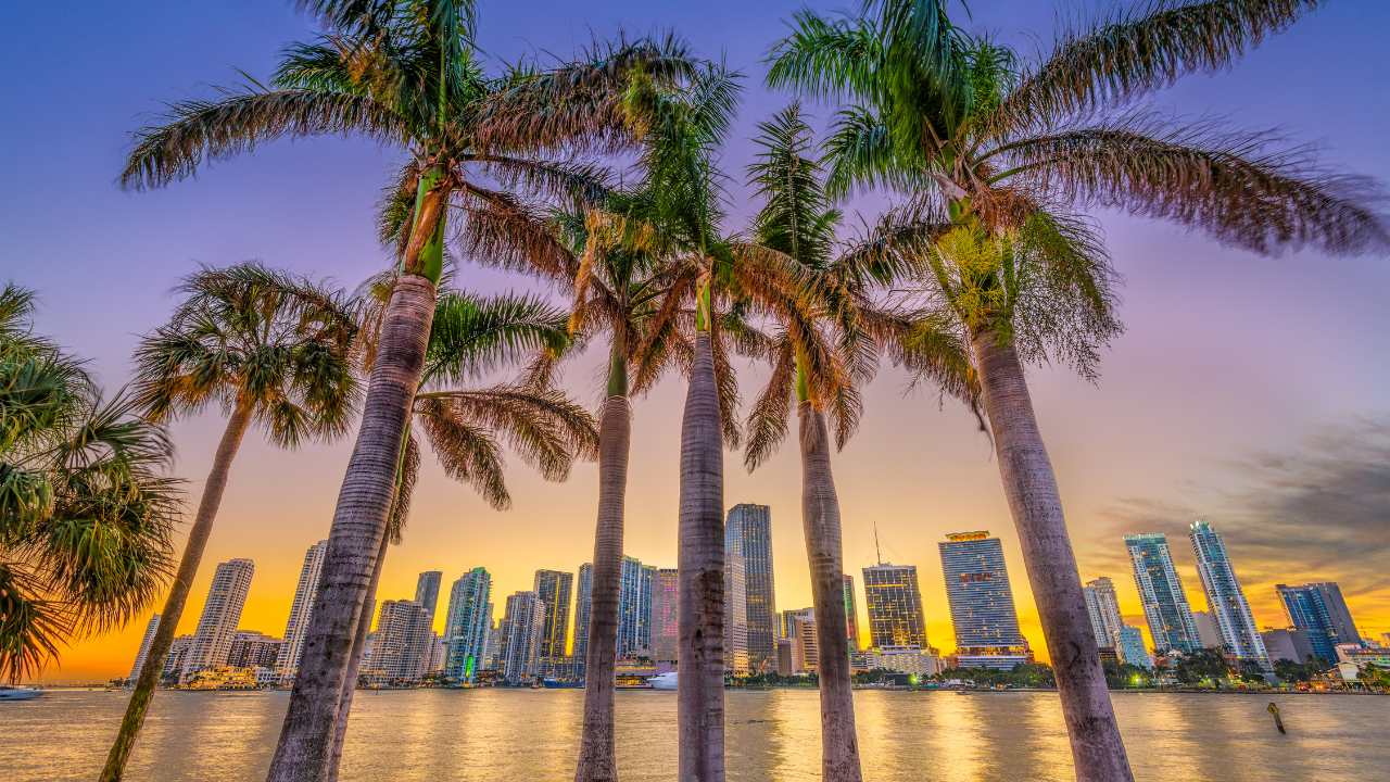 Interaktivni umetnički festival ponovo stiže u Južnu Floridu i traje 10 dana