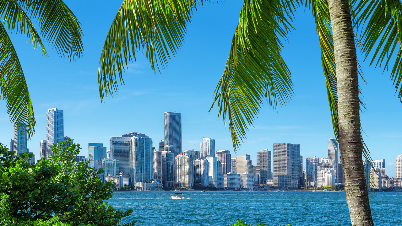 Najbolje ponude hrane i pića za „305 Day“ u Majamiju 5. marta