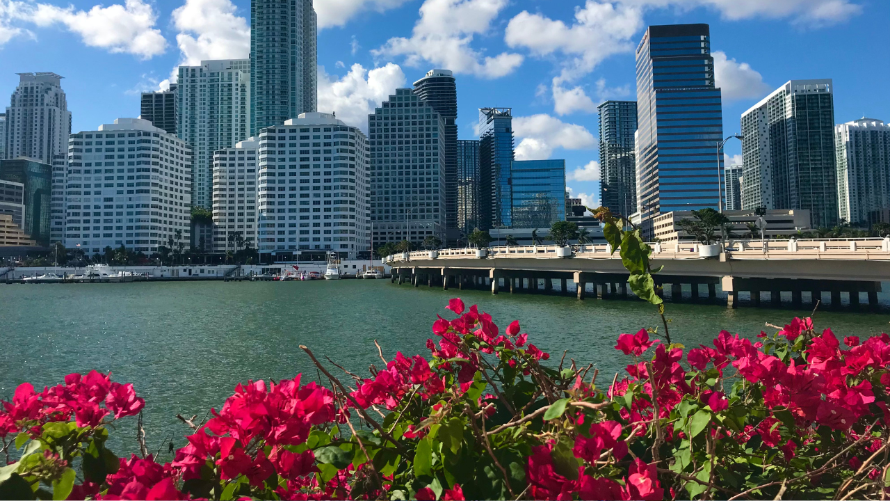 Konkurs za zvaničnu himnu Majamija: pobednik dobija nagradu od 10.000 dolara