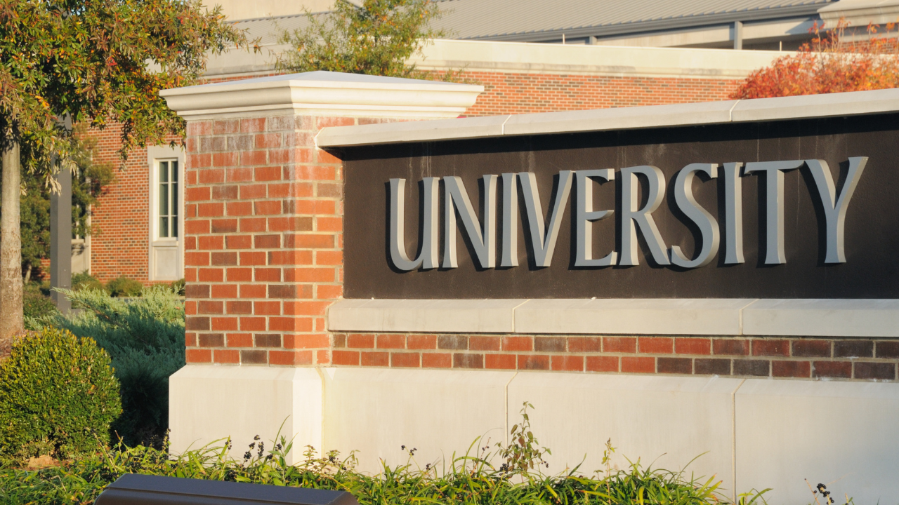 Zaboravite Harvard: Univerzitet sa Floride među „novim Ajvi ligama“ po izboru Forbesa