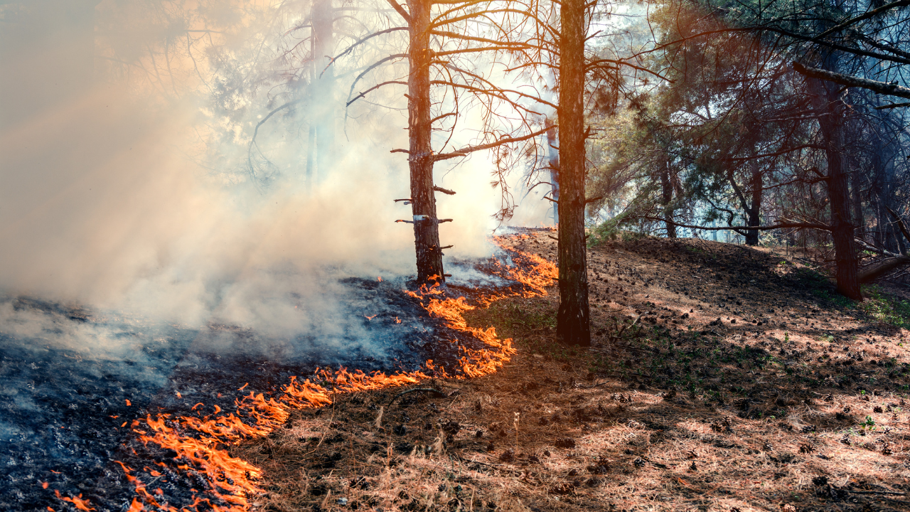 Požari blokirali železnički saobraćaj, putnici satima bez jasnih informacija