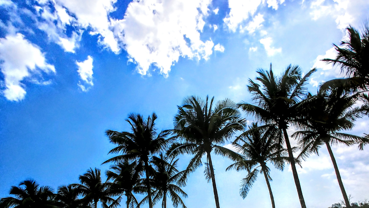 North Miami Beach obeležava 100 godina postojanja
