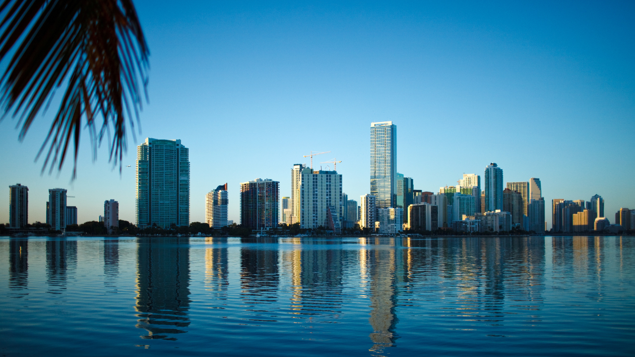 20 predloga za vikend u Miami: kultura, umetnost i događaji od 24. do 26. aprila