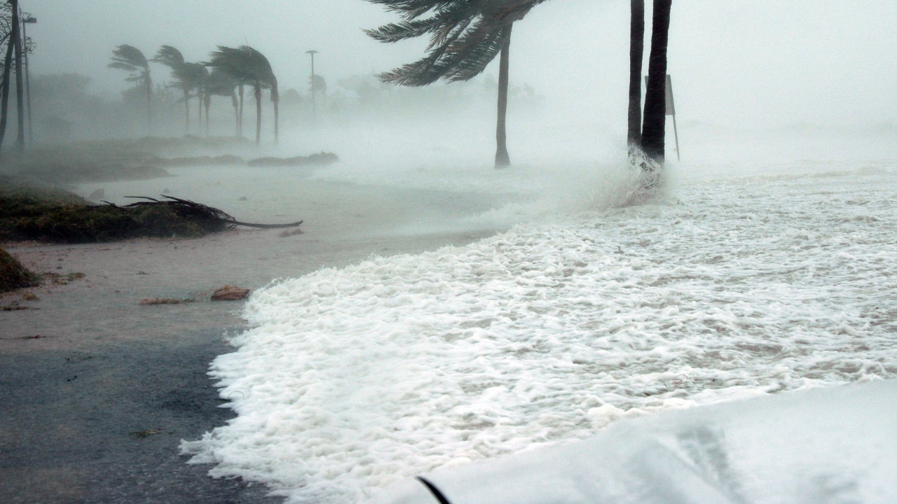 Besplatan parking tokom uragana u Majamiju: gde skloniti automobil tokom poplava