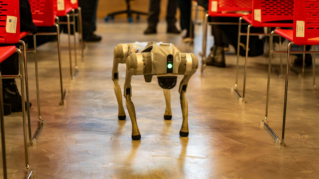  PETA predlaže robotske pse u policiji Fort Loderdejla nakon ranjavanja službenog K9 psa