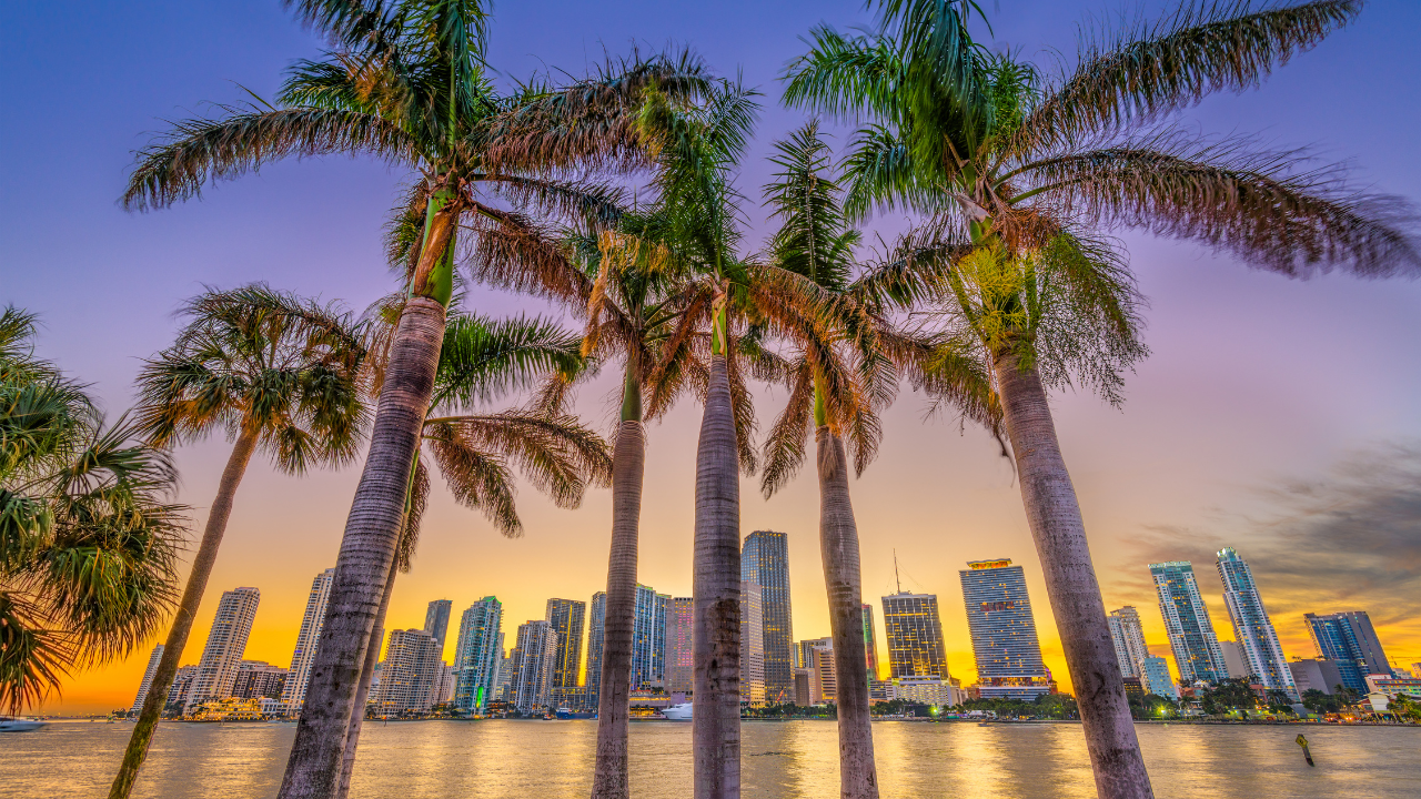 Objavljena lista „Best of Miami 2026“: Izabrani najbolji restorani, biznisi, umetnici i atrakcije u gradu - Miami Glasnik